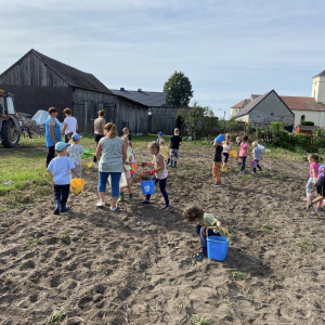 Wykopki przedszkolaków