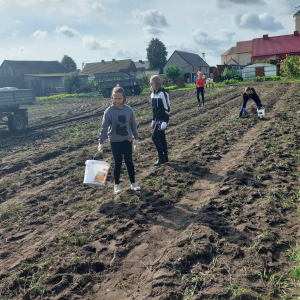 Marta i Kamila przy pracy 