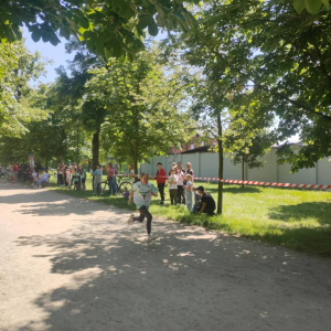 Biegi i sztafeta
