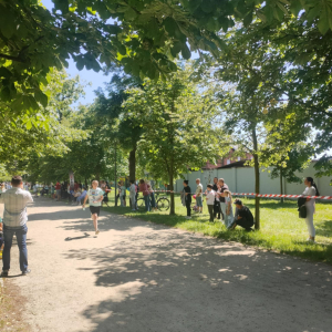 Biegi i sztafeta