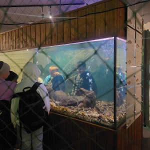 Zwiedzanie muzeum rybołówstwa 