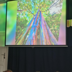 Oglądanie filmu przyrodniczego 