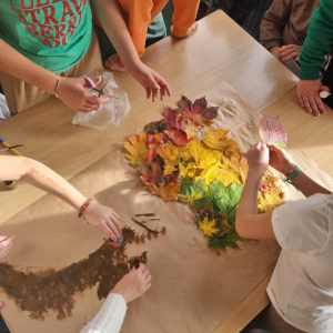 Wykonanie klasowego drzewa