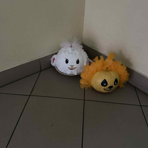 Baranek Shaun, Król Lew