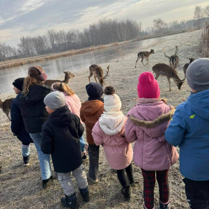 Dzieci karmią sarny i daniele
