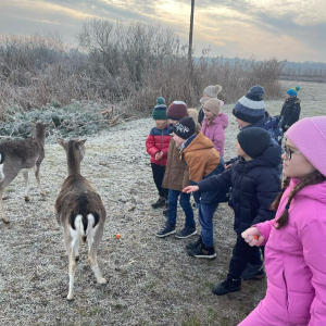 Dzieci karmią sarny i daniele