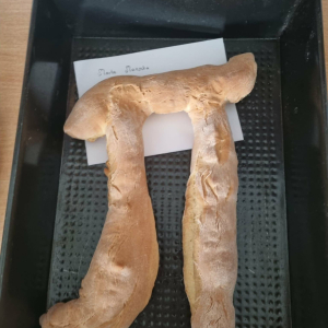 Kreatywna praca ucznia 