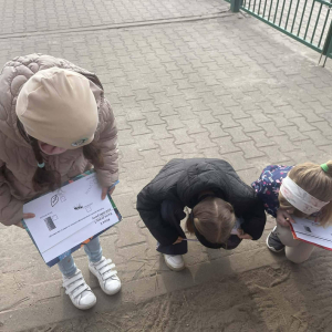 Klasa II obserwuje mrówki