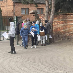 Obserwacja życia mrówek