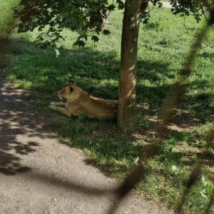 Uczniowie podczas wycieczki szkolnej 