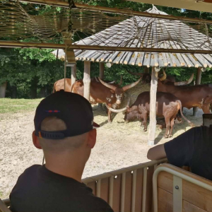 Uczniowie podczas wycieczki szkolnej 