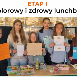 Etap I Lunchboxy kolorowe i zdrowe 